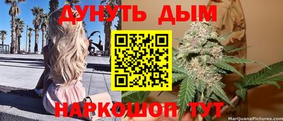 стафф Будённовск