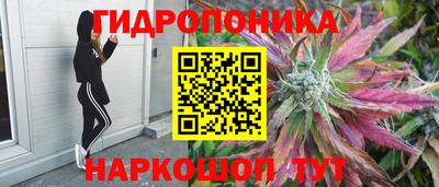 стафф Будённовск