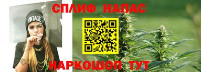 стафф Будённовск